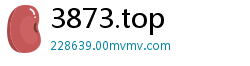3873.top